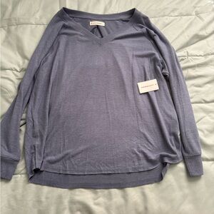 Everlane Gray V-Neck Sweater